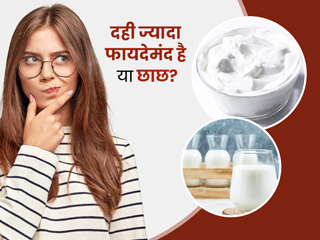 दही या छाछ, क्या है सेहत के लिए ज्यादा फायदेमंद? जानें एक्सपर्ट से